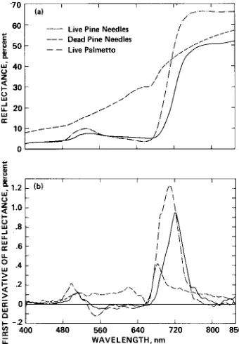 Table 2. The four background, palmetto spectral mixture models. Each mode1 has a canopy of live pine needles that ranges from 0 to 100 percent cover