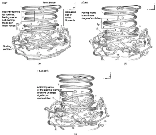 Fig. 16. Example of the nonlinear vortex pairing/reorientation mode occurring in the wake of a hovering rotor.