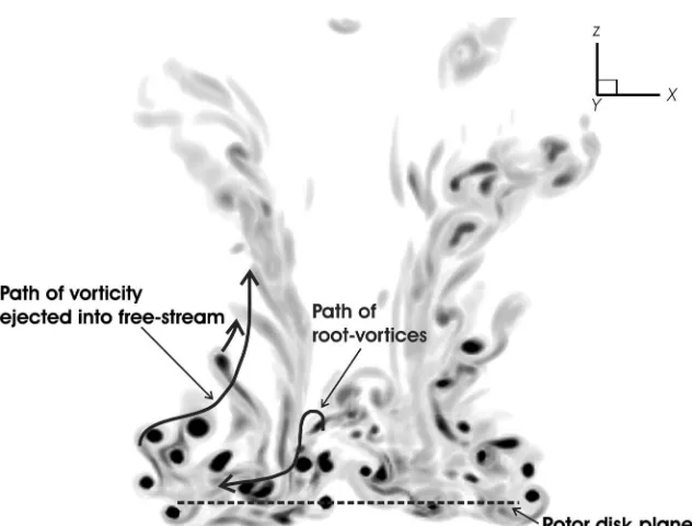 Fig. 10. Paths followed by vorticity (a) in the ejection stream and (b) originating at the blade root.