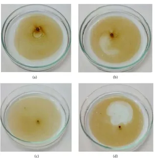 Figure 13. Oil spreading test: (a) sample without negative control; (b) sample with nega-tive control; (c) sample without crude biosurfactant; (d) sample with crude biosurfactant