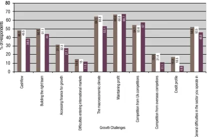 Figure 13: What are the biggest growth challenges you are currently facing?