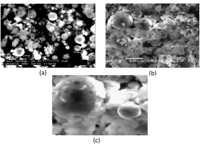 Fig. 4: SEM-EDX of PAFA catalyst 