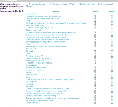 Figure 1 - Questions about item types and scope. 