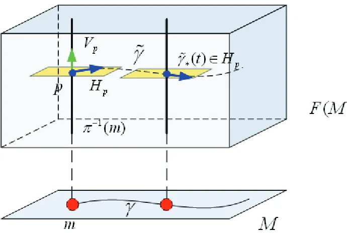 Figure 2.2: A connection H as a distribution in F(M),where the yellow plane representsthe Hp as the subspace of TpF(M)