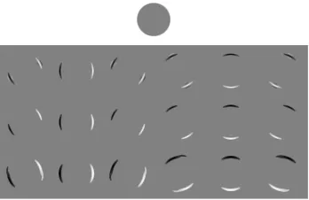 Figure 3.4: A representation of shearlet coeﬃcients of the characteristic function of a disk(shown above), at multiple scales (ordered by rows), for several values of the orientationindex ℓ (ordered by columns).