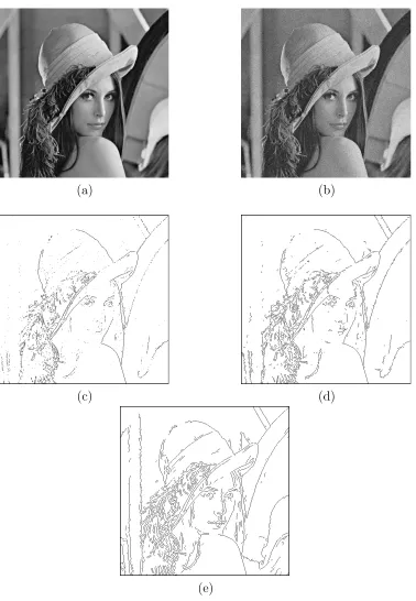 Figure 3.12:Results of edge detection methods. From (a) to (e): (a) Original image,(b) noisy image (PSNR=24.61 dB), (c) Sobel result (FOM=0.32), (d) wavelet result(FOM=0.60), and (e) shearlet result (FOM=0.89)