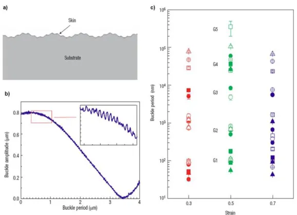 Table 1.2. The aspect ratio of buckles resulting from different UVO doses. The applied axial strain is 50% for all samples, and the thickness of PDMS is ≈ 1 mm