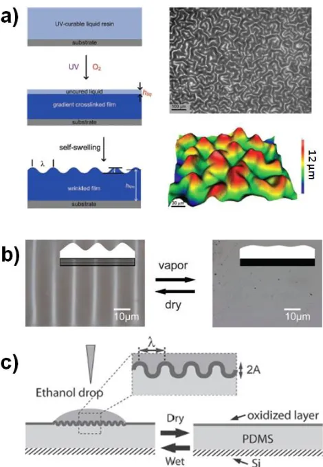 Figure 1.13. (a) Schemcatic, optical microscopy image and 3D profilometer image of isotropic buckles formed due to spontaneous swelling of a gradient crosslinked UV-curable resin (2-phenoxyethyl acrylate, crosslinker is 1,6-hexanediol diacrylate, photoinit