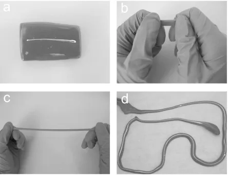 Figure 2.10 Drawing of EGaIn wires by hand at room temperature. (a) EGaIn lines dispensed on a putty (viscoelastic polymer) substrate