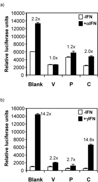 FIG. 7. RPV V and P inhibit the induction of expression fromIFN-responsive promoters. Vero cells were transfected with plasmids