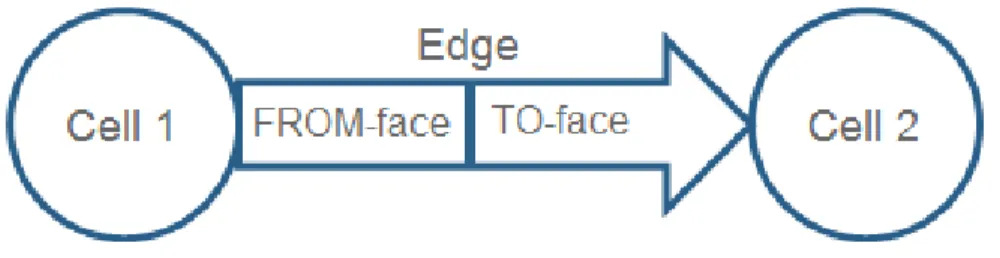 Figure 2. How cells are connected in a NEO model [33]. 