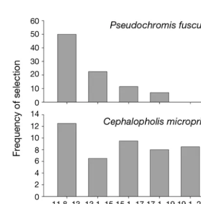 Fig. 1. Frequency of first selection of settlement stage Poma-centrus amboinensis during aquarium-based predation trials with 4 important predatory fish species