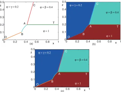 Figure 3.3: Case I. (a) Matlab visualization of the constructed solution for γ = 0.2 andβ = 0.4, (b) the corresponding numerical simulation, and (c) the Matlab visualizationsuperimposed on the numerical simulation