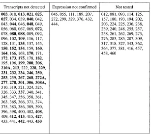 FIG. 4. EhV-86 CDSs for which expression of the transcript could not be detected above threshold levels, conﬁrmed, or tested
