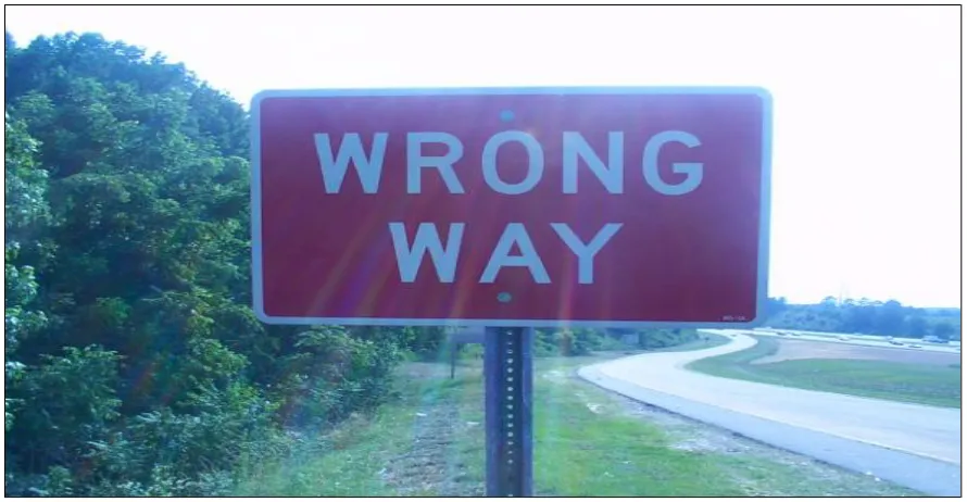 Figure 2.1: Wrong Way Sign 