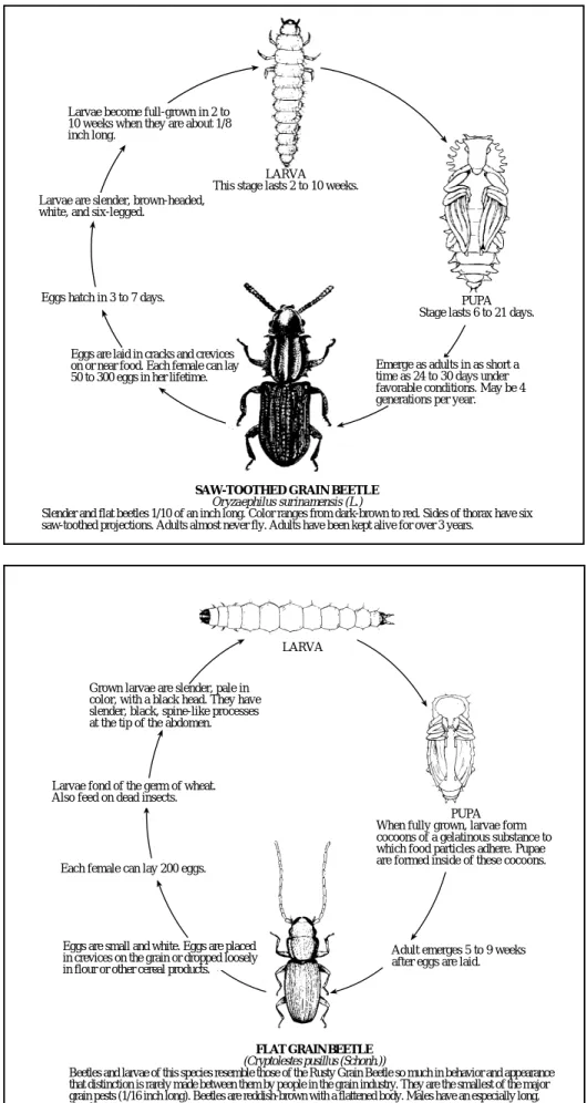 Figure 6 Figure 7