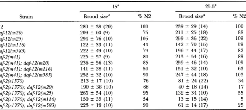 TABLE 5 