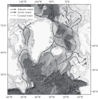 Figure 6 (see colour insert.) The general pattern of oceanographic flows in the north-eastern Atlantic.