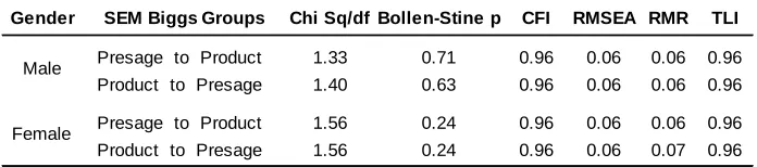 Table 4  Biggs 3P presage-process-product gender fit  