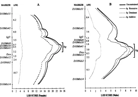 FIGURE 2.-Interval  mapping of based  on mum (unconstrained, recessive,  additive, dominant) the high growth locus ( hg) using  the  logarithm of weight gain from 14 to 63 days of age (A, F2 female data; B, based on F2 male data)