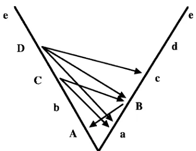 FIGURE 1.-History  of substitutions fixed between two pop- ulations. Time  runs upward