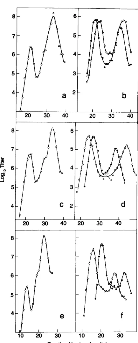 FIGURE A1.-Affect  of varied according to whether they were stability. carries pLT16. Unadsorbed  phage were assayed and  found  to be a negligible fraction (c and d )  or Rap on cointegrate frequency and A b2 biol was grown for one cycle in FS2942, which 