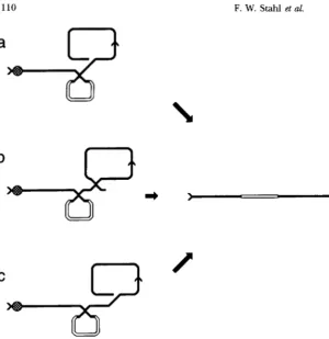 FIGURE 5.-Three  interpretations clustered exchanges seen when a plasmid 