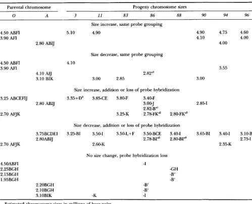 TABLE 3 