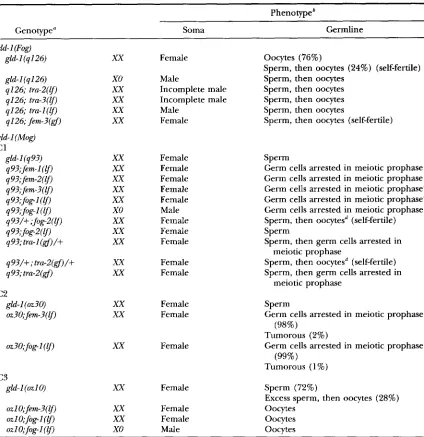 TABLE 2 