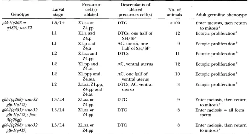 TABLE 3 