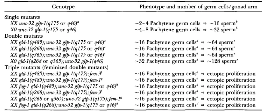 TABLE 4 