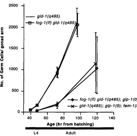 FIGURE fog-1 (q180) glpl ( + ) activity is fog-1 (q180) gld- represents  the  mean  number 1  (q485) [using 1 1  (q485);glpl(O) (e2003)], feminized gld- a the  feminized minimum data  point glpl Each germ  cells  counted in and of standard  deviation of gl