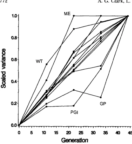 FIGURE 2.-Total  variance Table eration in each  trait  plotted  against  gen- of mutation  accumulation