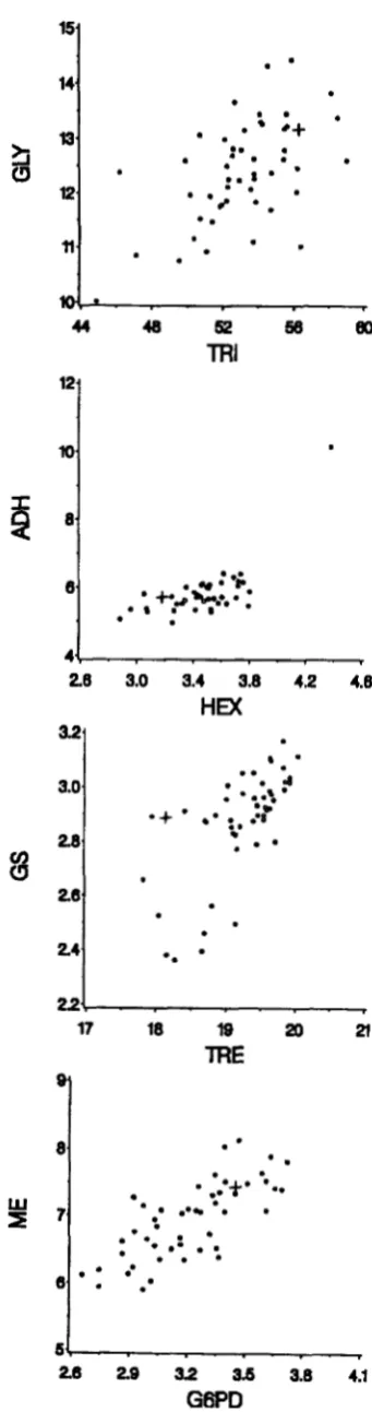 FIGURE tion-accumulation initial + means mutation 4.4cattergrams of line at generation 44 of accumulation