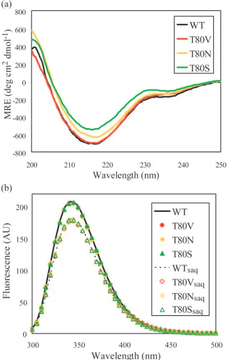 TABLE 2. Binding thermodynamics of SQV at 20°C