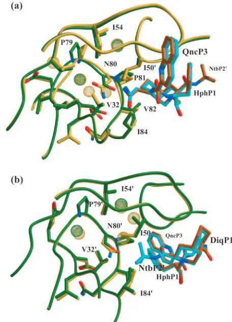 FIG. 4. Difference distance plots of SQVT80N versus SQVT80S. Rel-ative changes in the distance between two alpha-carbon atoms in the