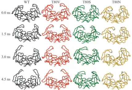 FIG. 7. Snapshots from the four MD simulations at 0.0, 1.5, 3.0, and 4.5 ns (WT, black; T80V, red; T80S, green; T80N, yellow)