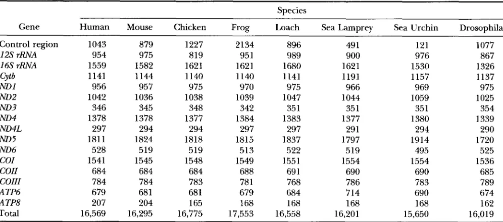 TABLE 2 