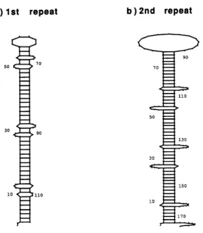 FIGURE 4.-The  secondary  structures Both structures  contain  long among  copies stable