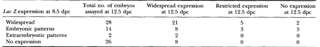 TABLE 4 Lac Z expression in 12.5.dpc embryos 
