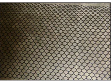 Fig. 2: View of Geogrid Sheet 