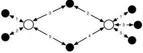 Fig. 1. An open twisted graph state where the system qubits are the white circles that will not be measuredand the rest are ancilla qubits