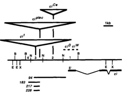 FIGURE - 1.-Map  of horizontal  line  represents 