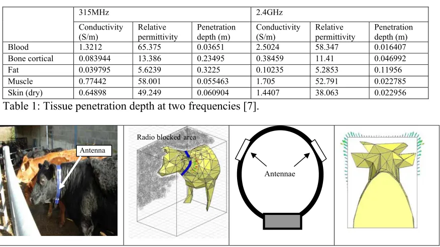 Table 1: Tissue penetration depth at two frequencies [7]. 