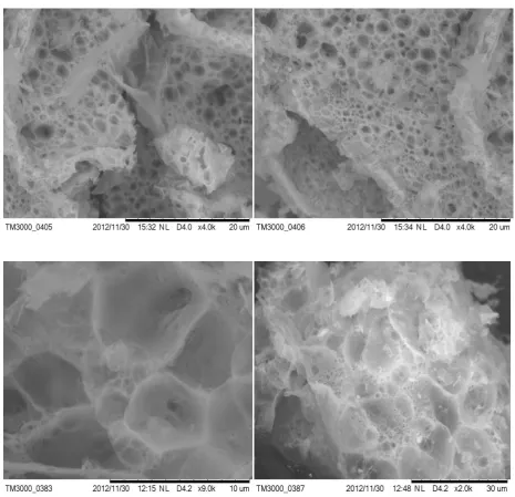 Fig 9. SEM Micro graphs of MgO nano 