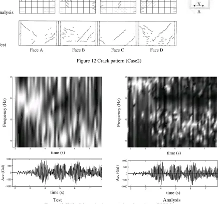 Figure 12 Crack pattern (Case2) 