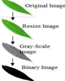 Fig 1: Overall flow diagram  