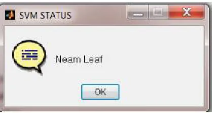 Figure 5: Display leaf name using SVM classifier  