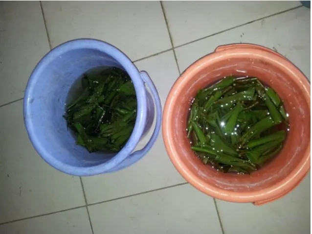 Figure 2: Pretreated substrate after soaking, drying and communition. 