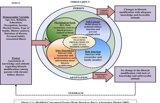 Figure 1.1: Modified Conceptual Frame Work Based on Roy’s Adaptation Model (1992) 